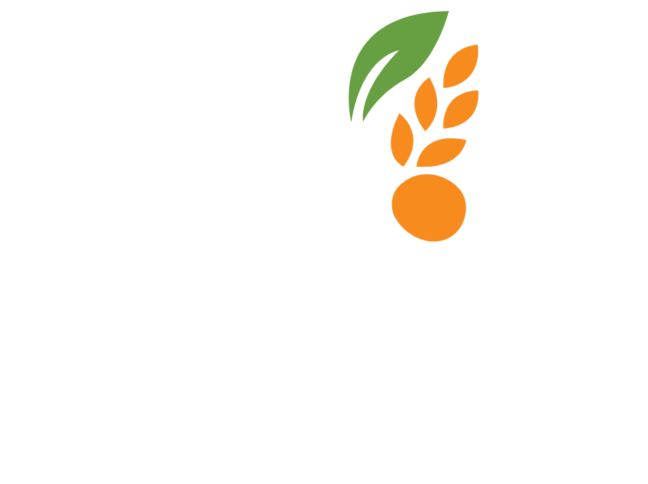 Namisho Global